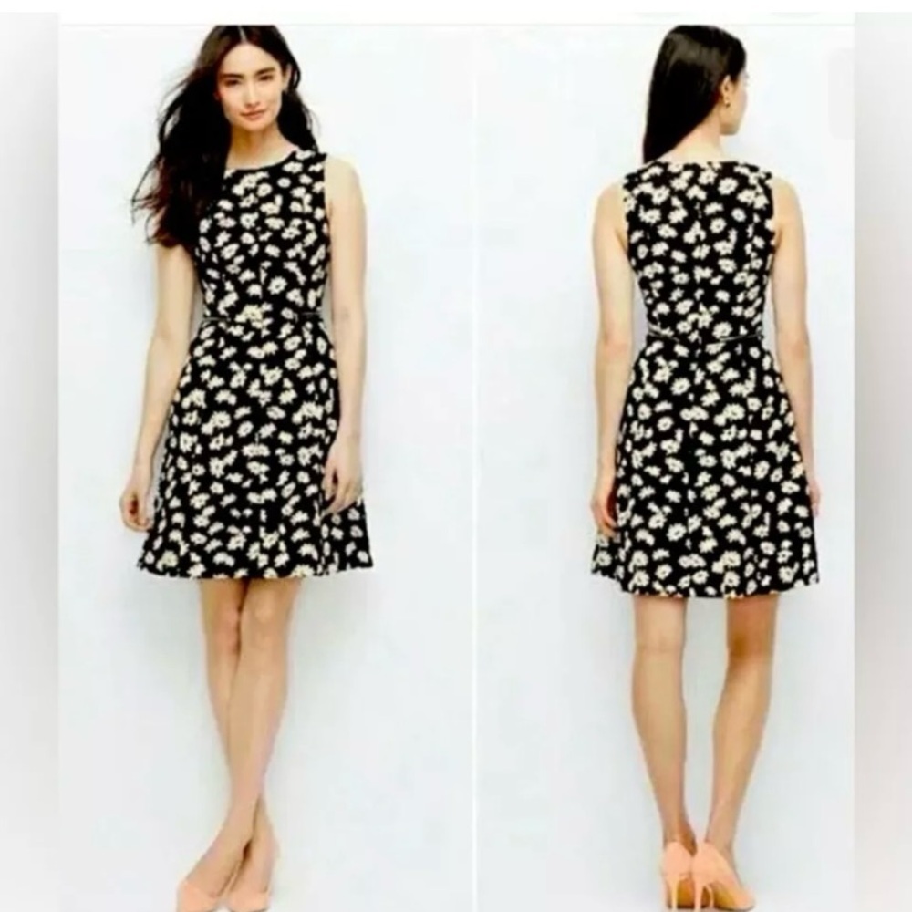 Ann Taylor Petite Black & White Daisy Fit & Flare Dress (4